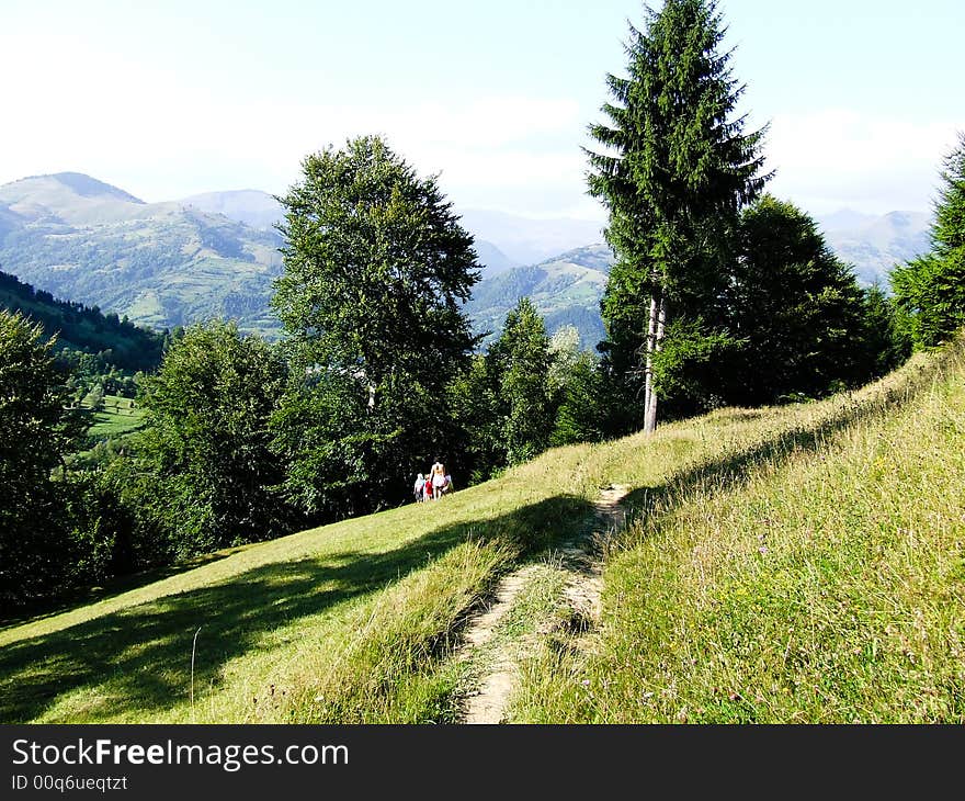 High path in the mountains on summer time