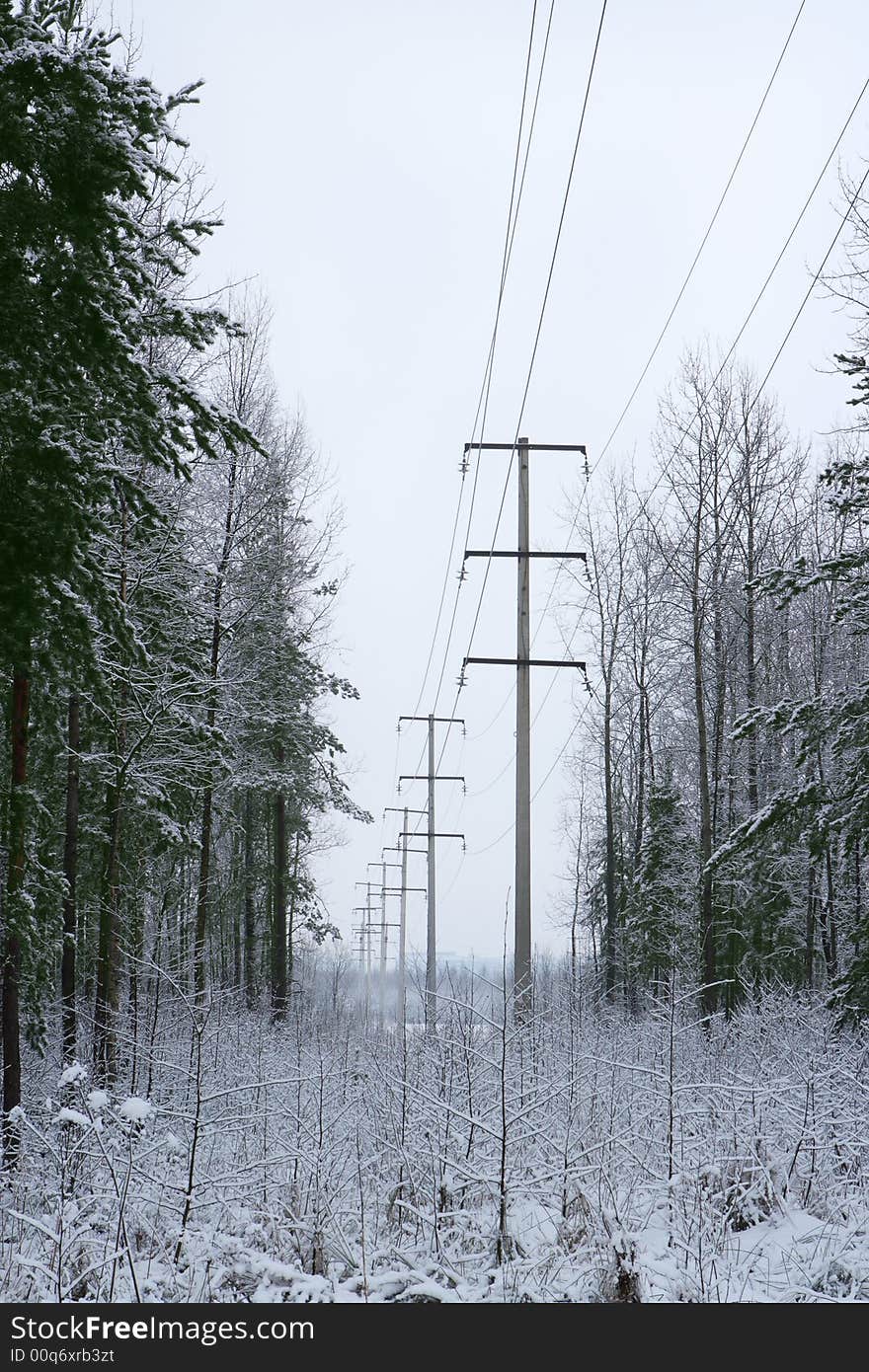 High voltage line in a winter wood