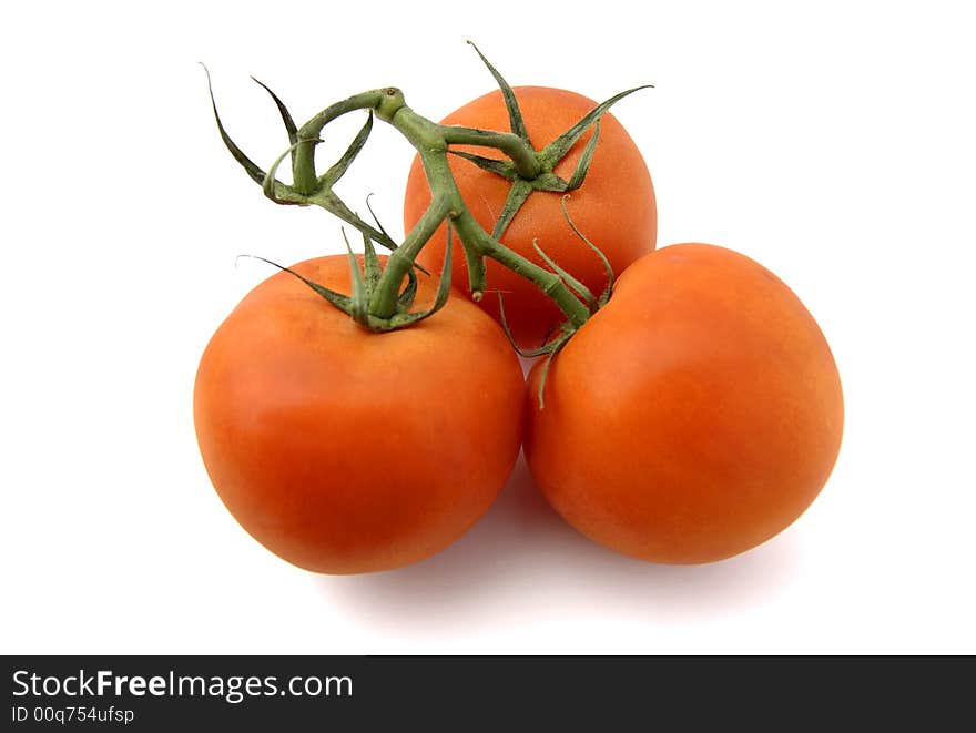 Three Tomatoes