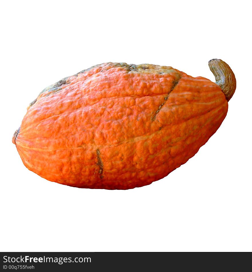 Squash on white background