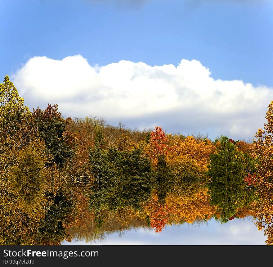 Bright autumn leaves on a clear day standing in overflowing lake bed. Bright autumn leaves on a clear day standing in overflowing lake bed