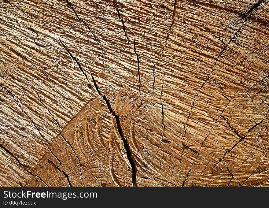 Texture of wood