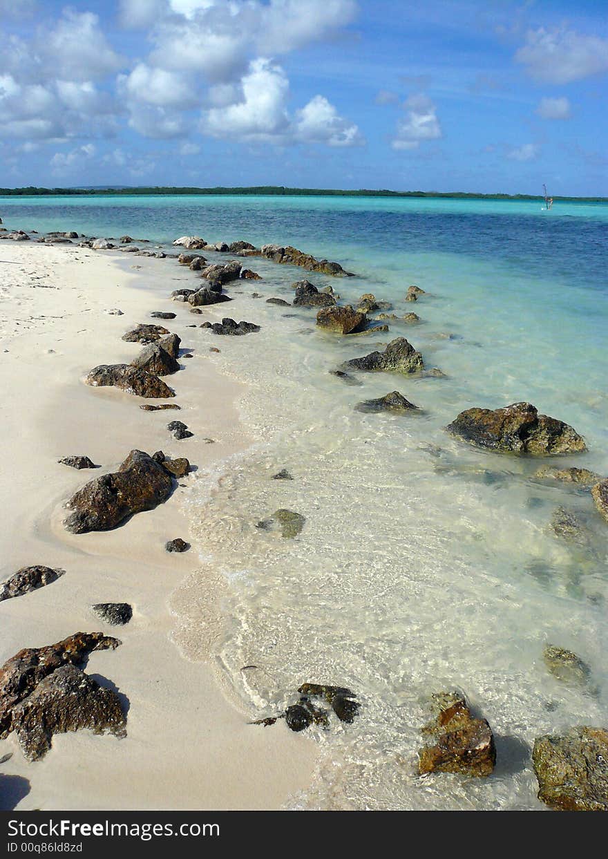 Beach with rocks