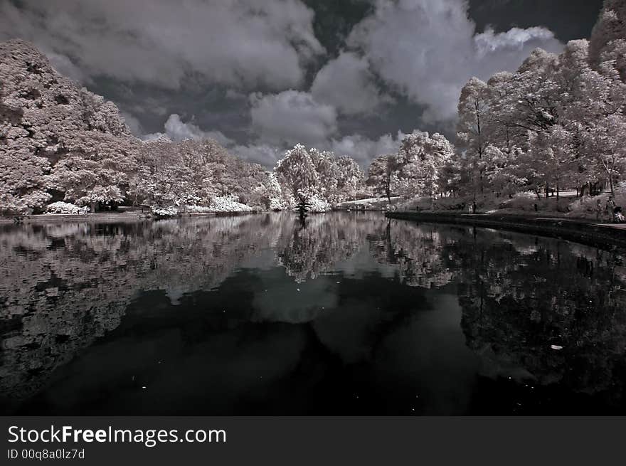 Lake, tree and cloud in the park