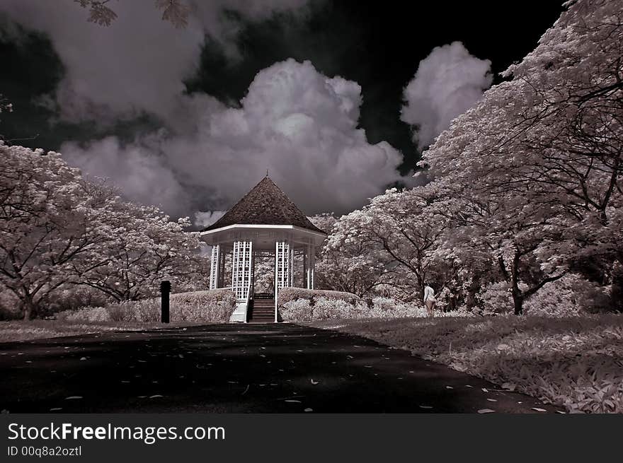 Shelter, Tree And Cloud In The Park