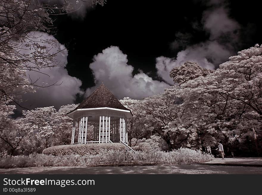 Shelter, tree and cloud in the park