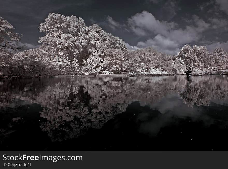 Lake, tree and cloud in the park