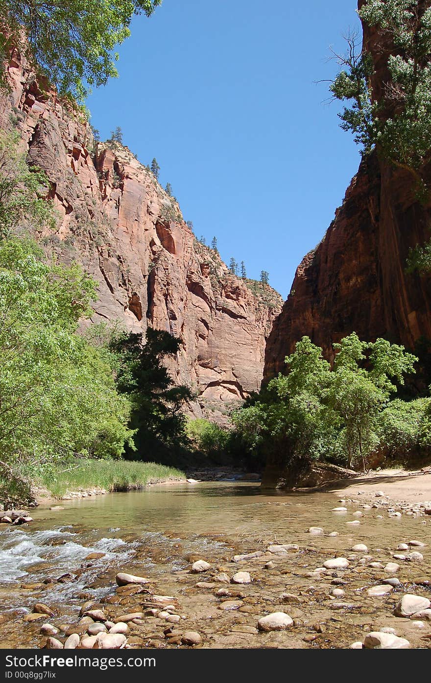 Canyon in Zion National Park