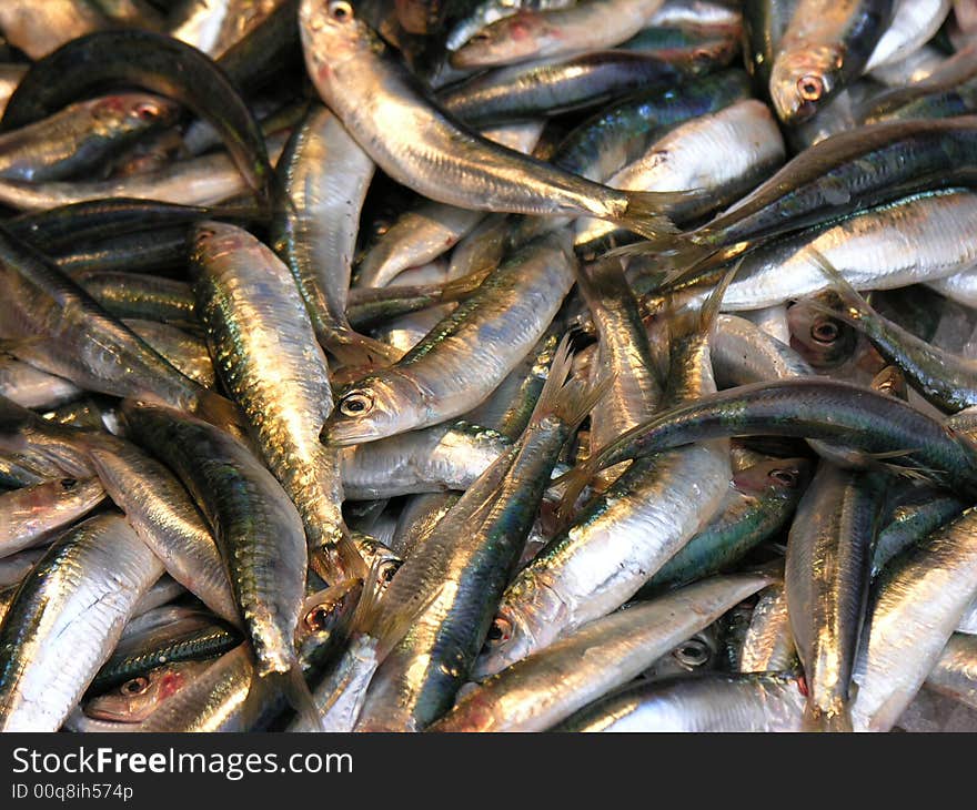 Sardines in a fish market in Venice