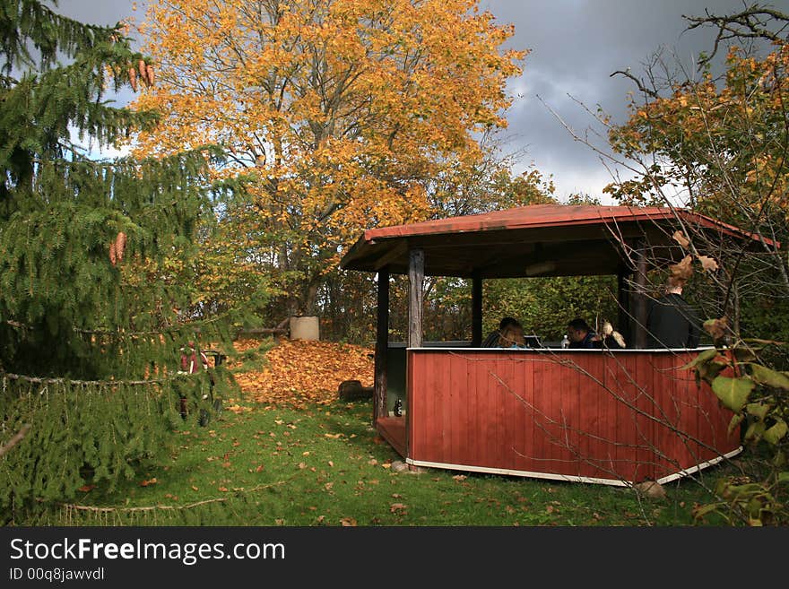 Arbour, autumn, fall, lowering clouds, spruce, fir cone, village, tree, leaves, maple, Latvia