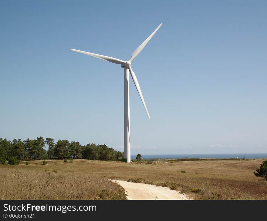 Back is a  blue sky with a wind power generator and trees.