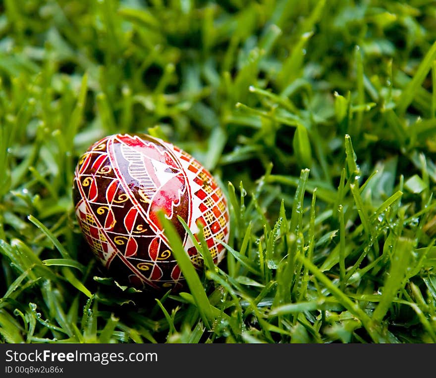 Hand painted Easter egg glistening on a bed of fresh, dew covered grass. Hand painted Easter egg glistening on a bed of fresh, dew covered grass