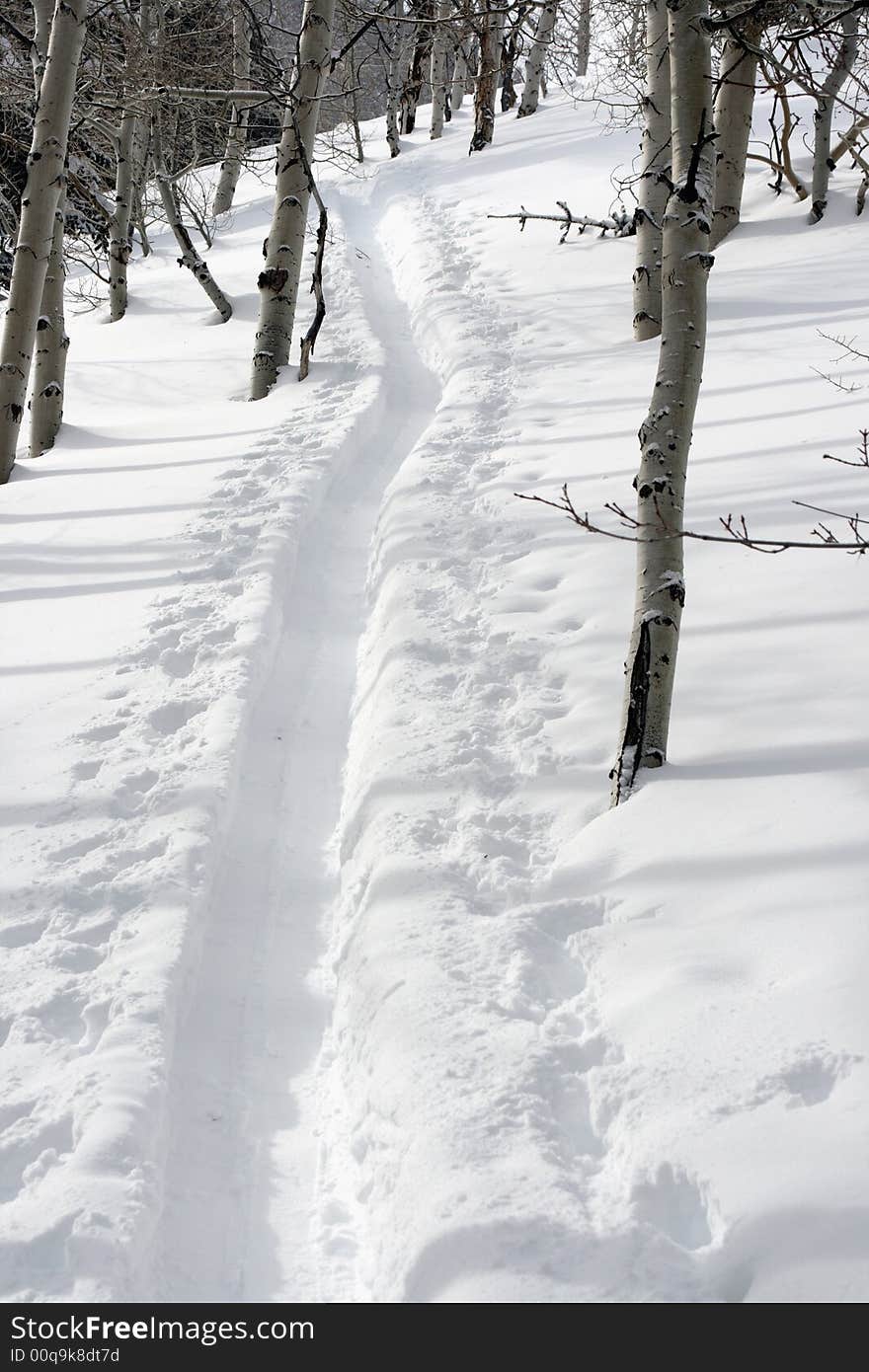 Ski Path Climbing Up