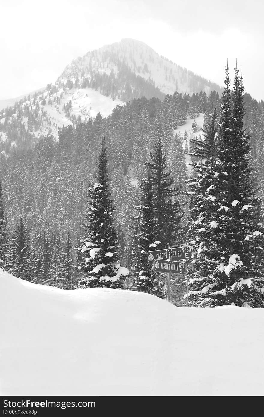 Snow covered mountain road