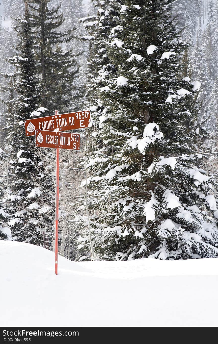 Snow covered mountain road