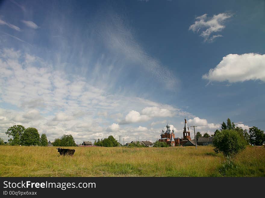 Rural landscape with rams, the cow and church. Rural landscape with rams, the cow and church.