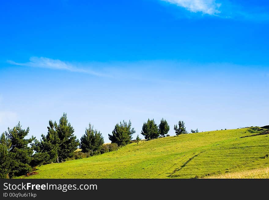 Beautiful meadow and blue sky,please check my portfolio for more!. Beautiful meadow and blue sky,please check my portfolio for more!