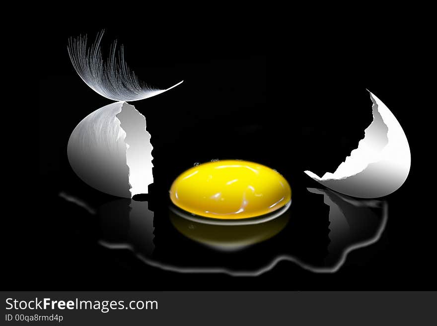 Egg and feather