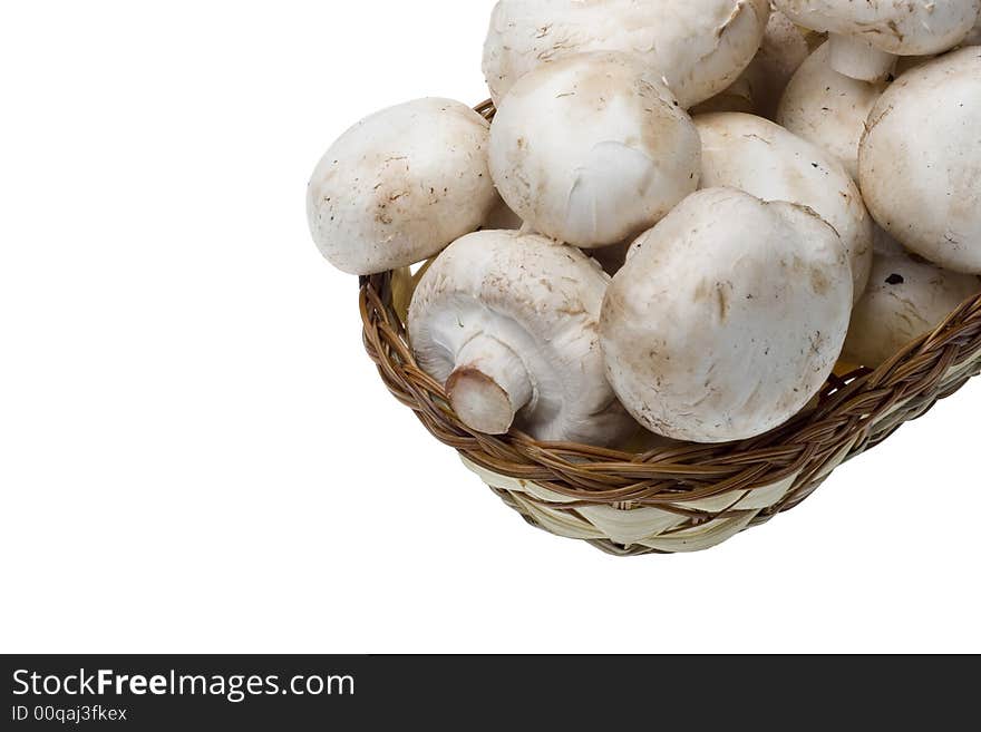 Field agaric in the basket on white backgrounds