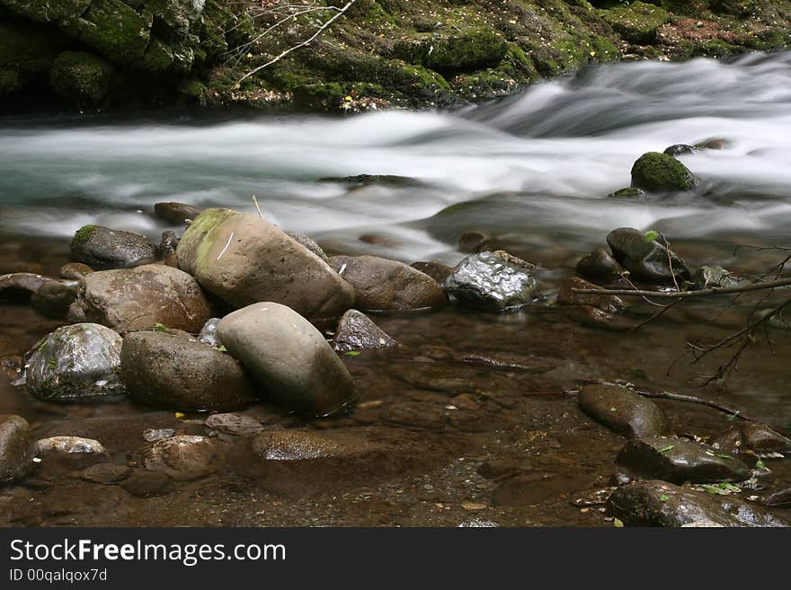 Nature landscape, streaming spring creek