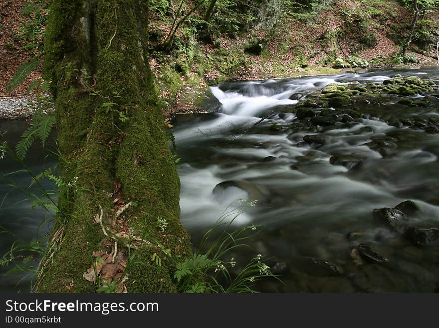 Nature landscape, streaming spring creek