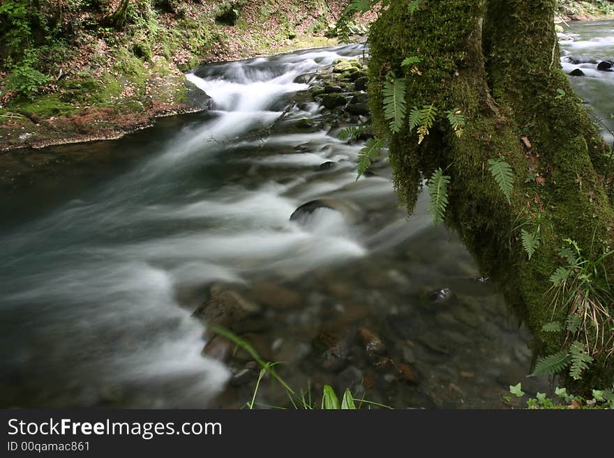 Nature landscape, streaming spring creek