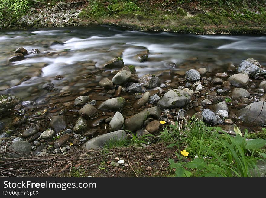 Nature landscape, streaming spring creek