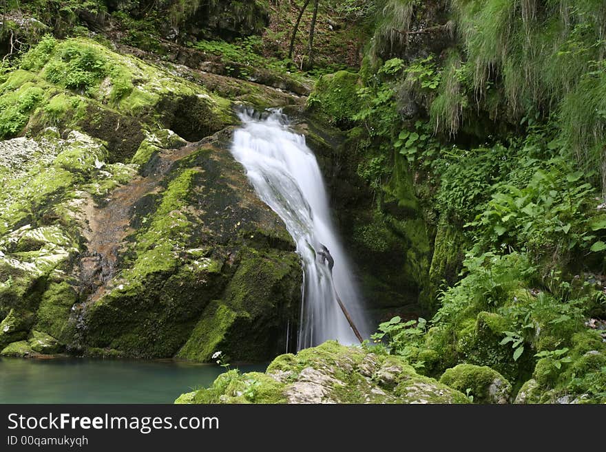 Nature landscape, streaming spring creek