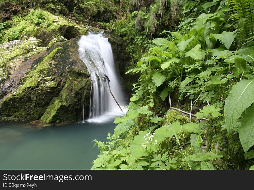 Nature landscape, streaming spring creek