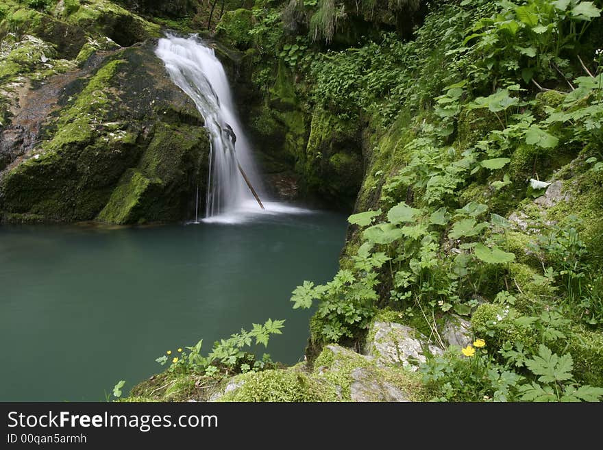 Nature landscape, streaming spring creek