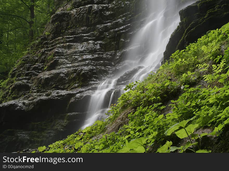 Nature landscape, streaming spring creek