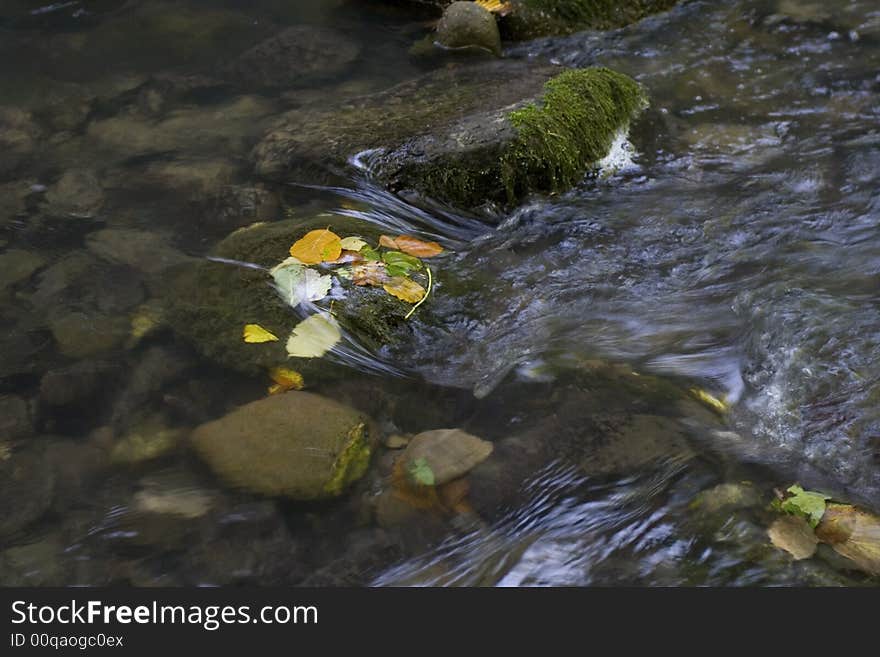 Nature landscape, streaming spring creek