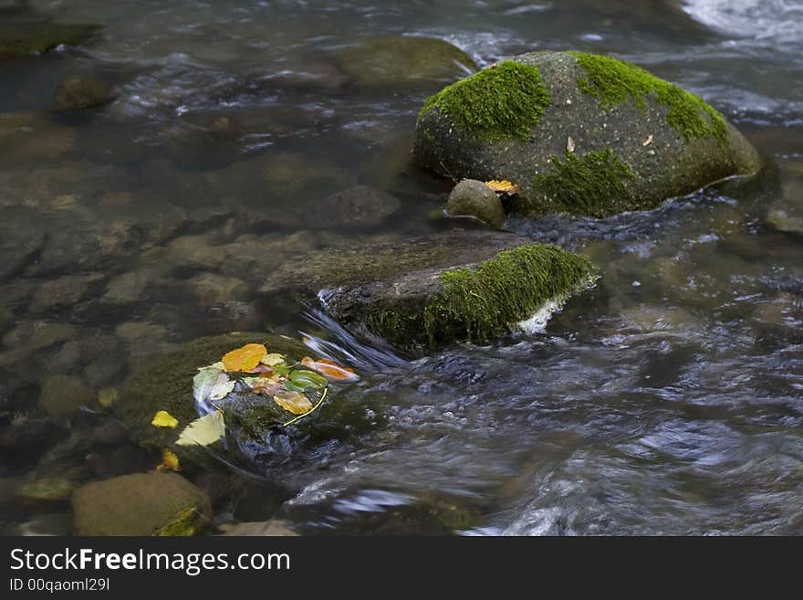 Nature landscape, streaming spring creek