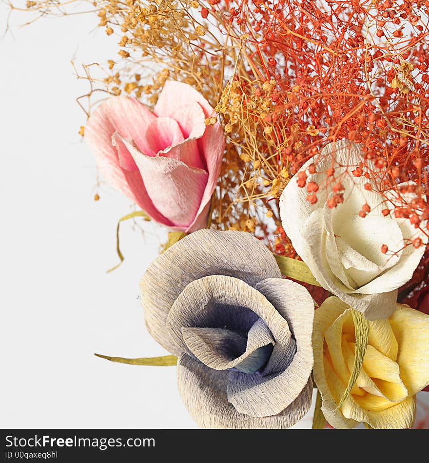 Flowers of various colours on white background. Flowers of various colours on white background