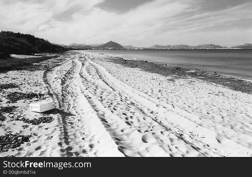 Beach In Early Spring