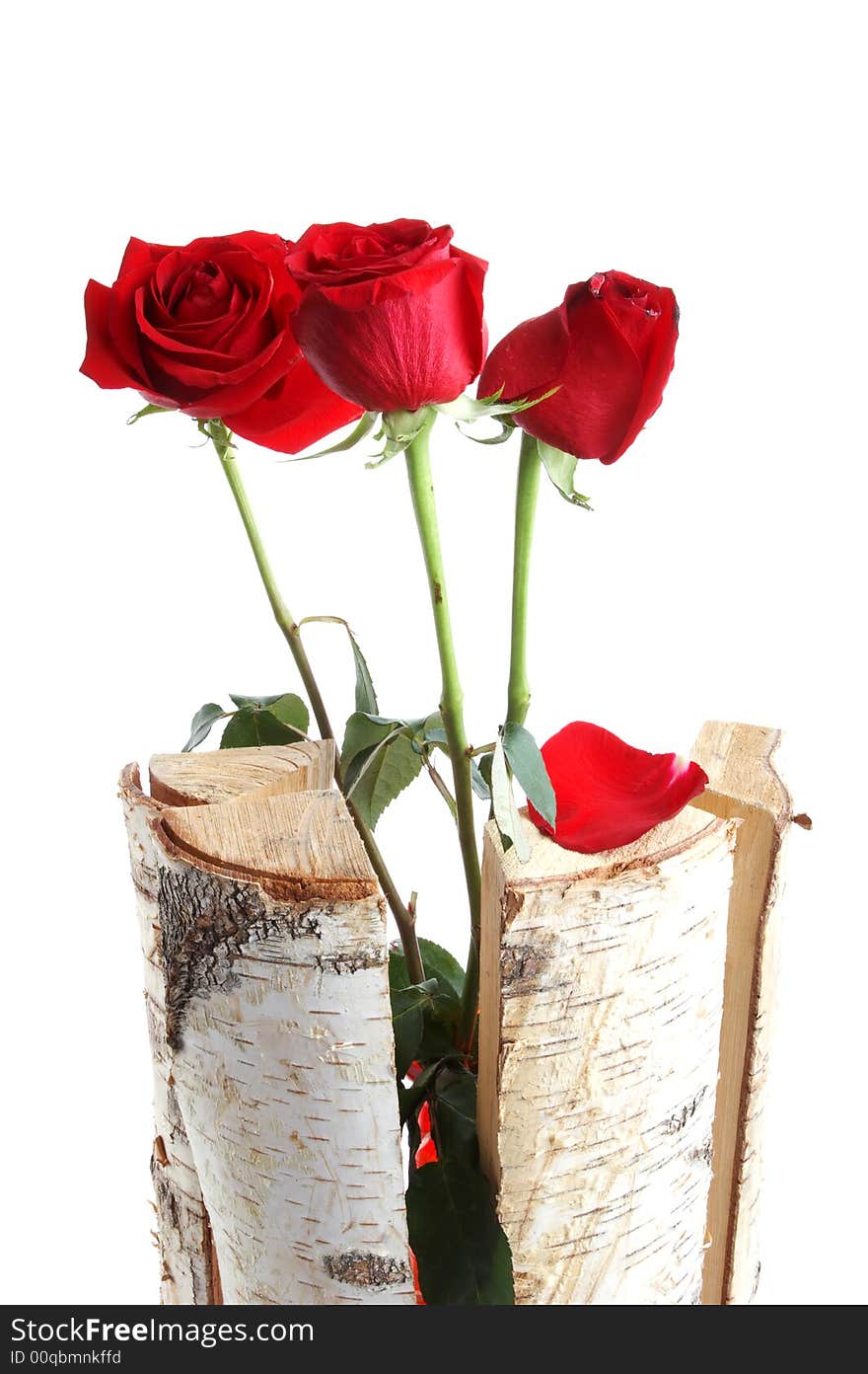 Roses In Wooden Sticks