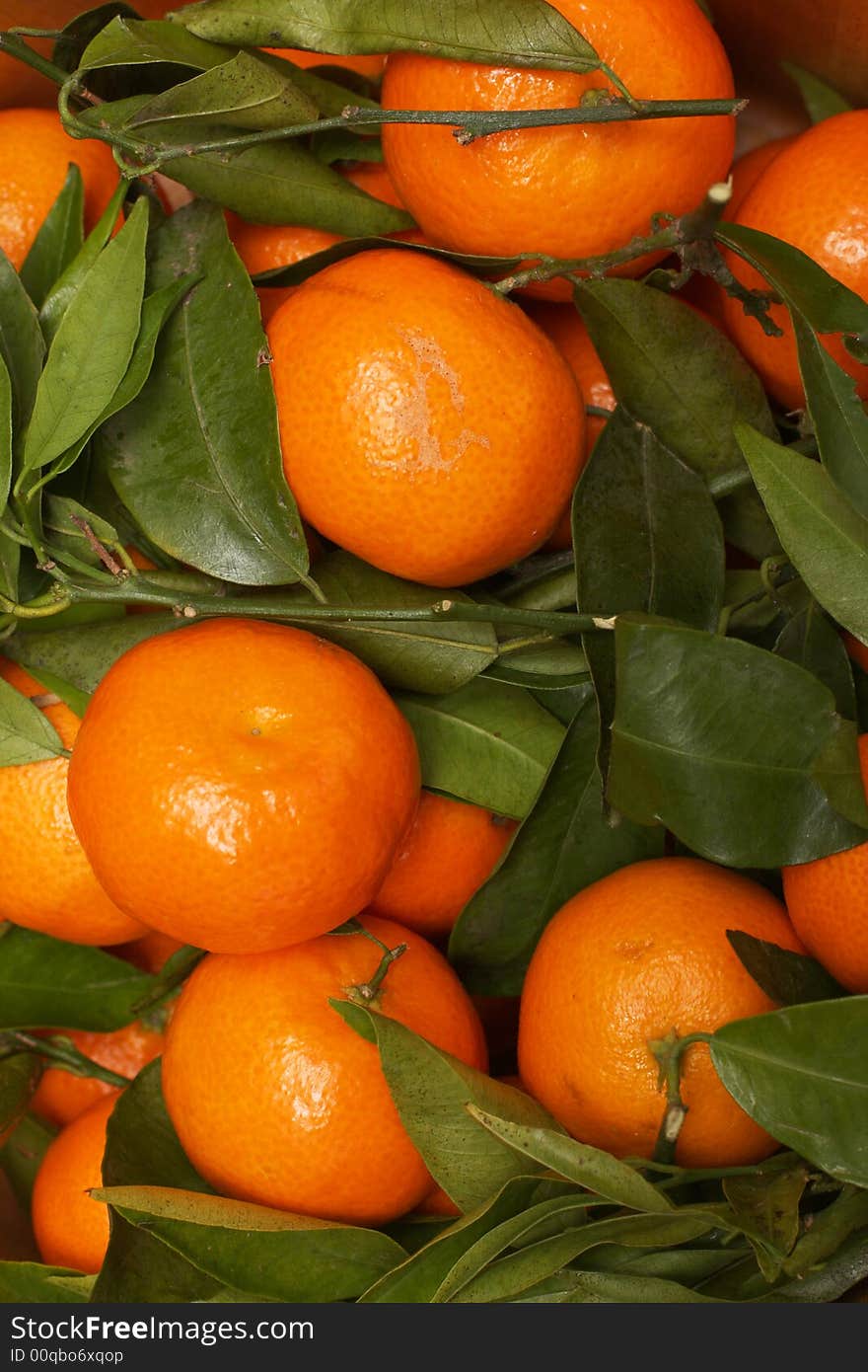 A bunch of orange fruits with green leaves