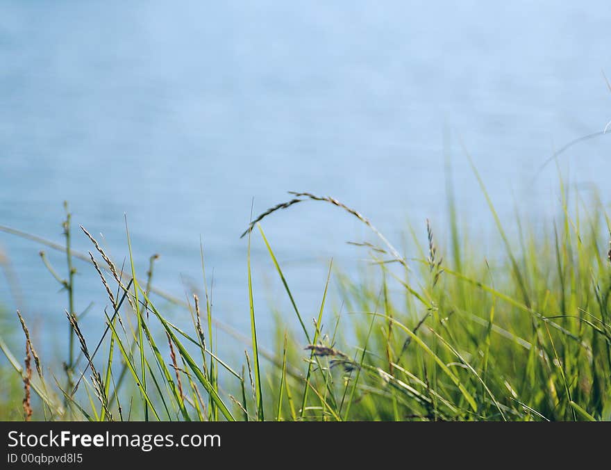 Green Grass and Blue Water