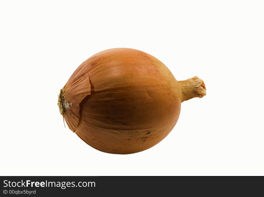 Onion