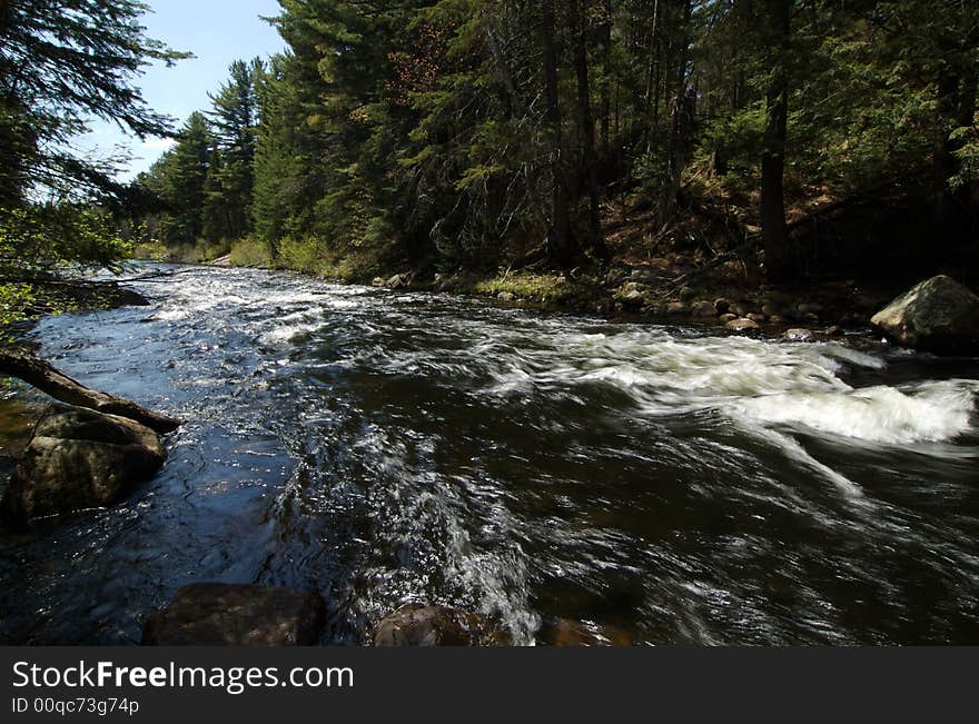 A stream flowing over rock in forest. A stream flowing over rock in forest