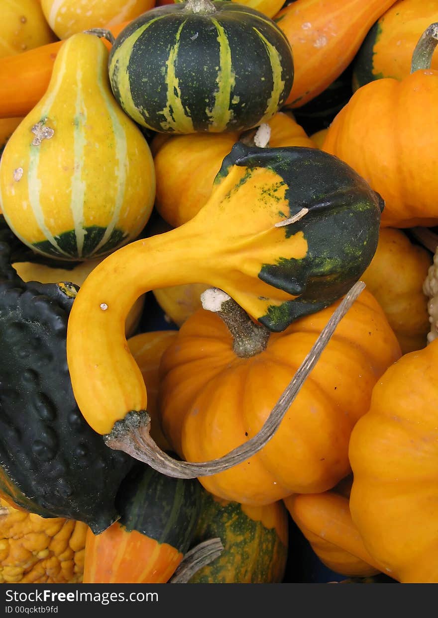 Pile of colorful autumn pumpkins