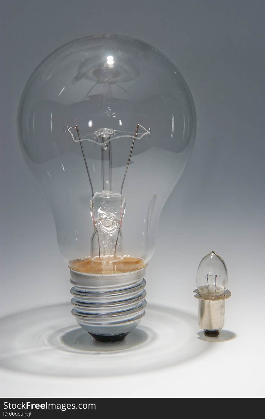 Two bulbs on white background