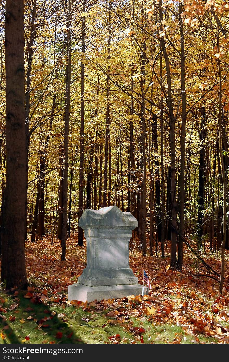 Tombstone in the woods with flag. Tombstone in the woods with flag.