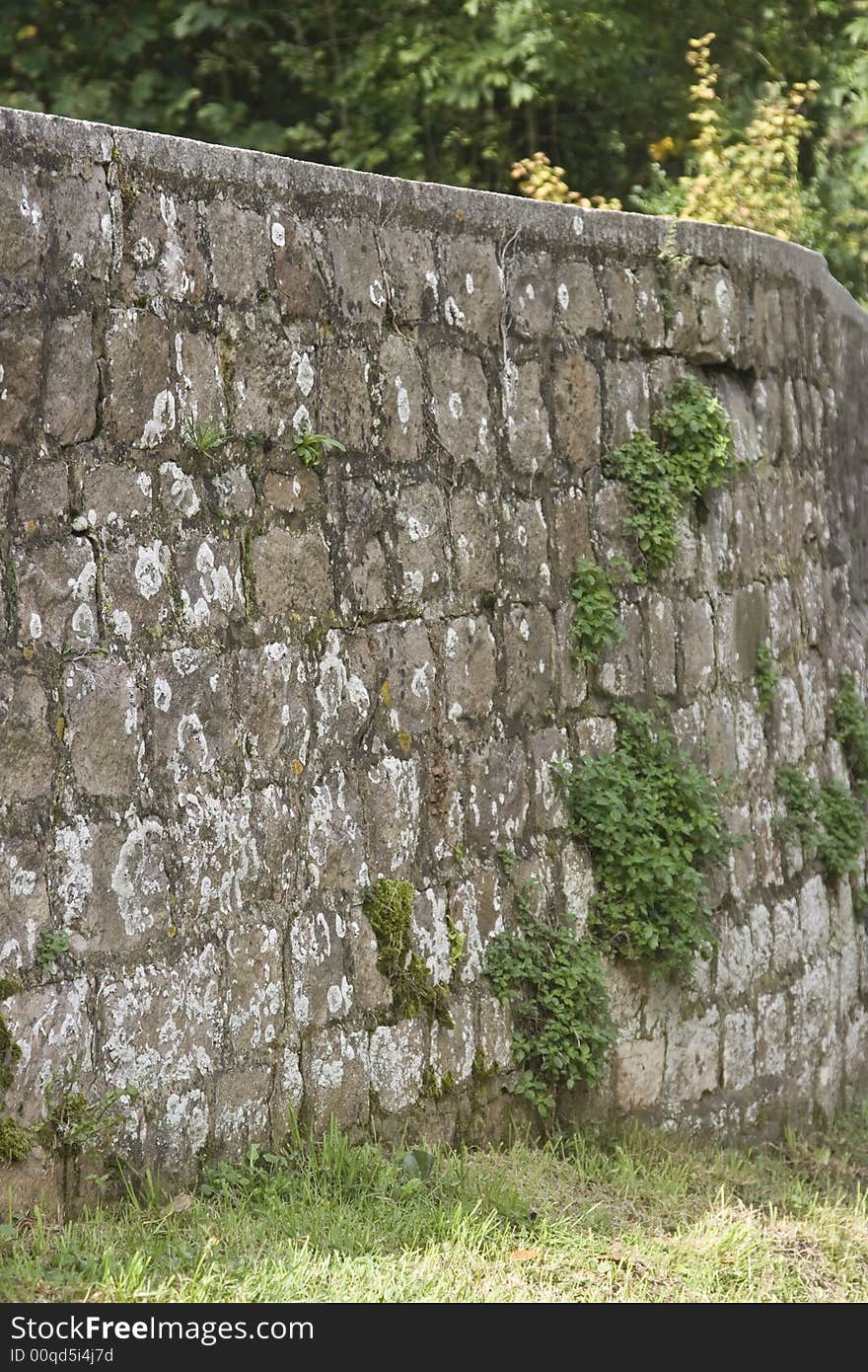 Brick wall with vegetation in Normandy France