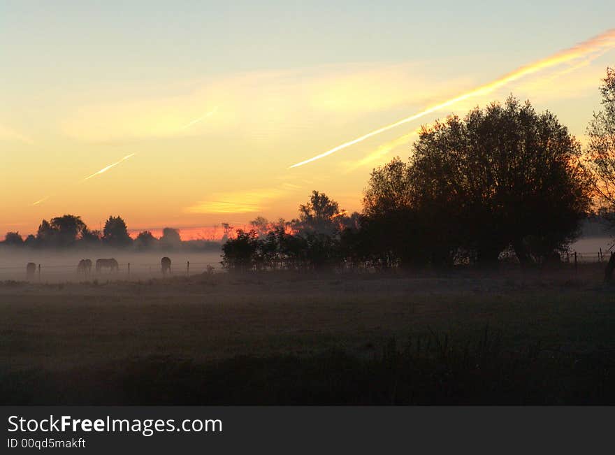 Sunrise in a Misty Morning