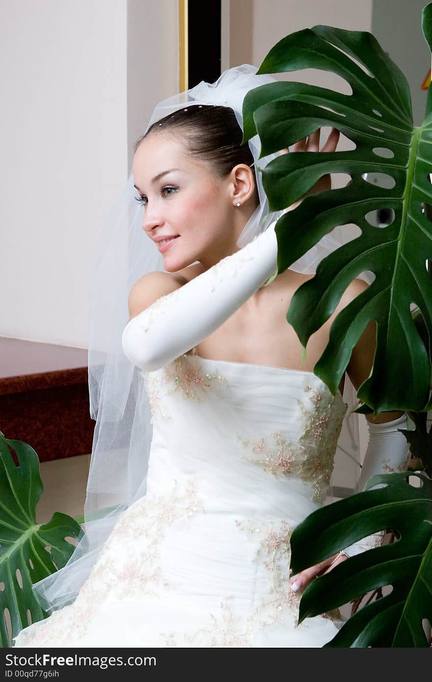 A Happy Bride Near The Big Leaf Of The Flower