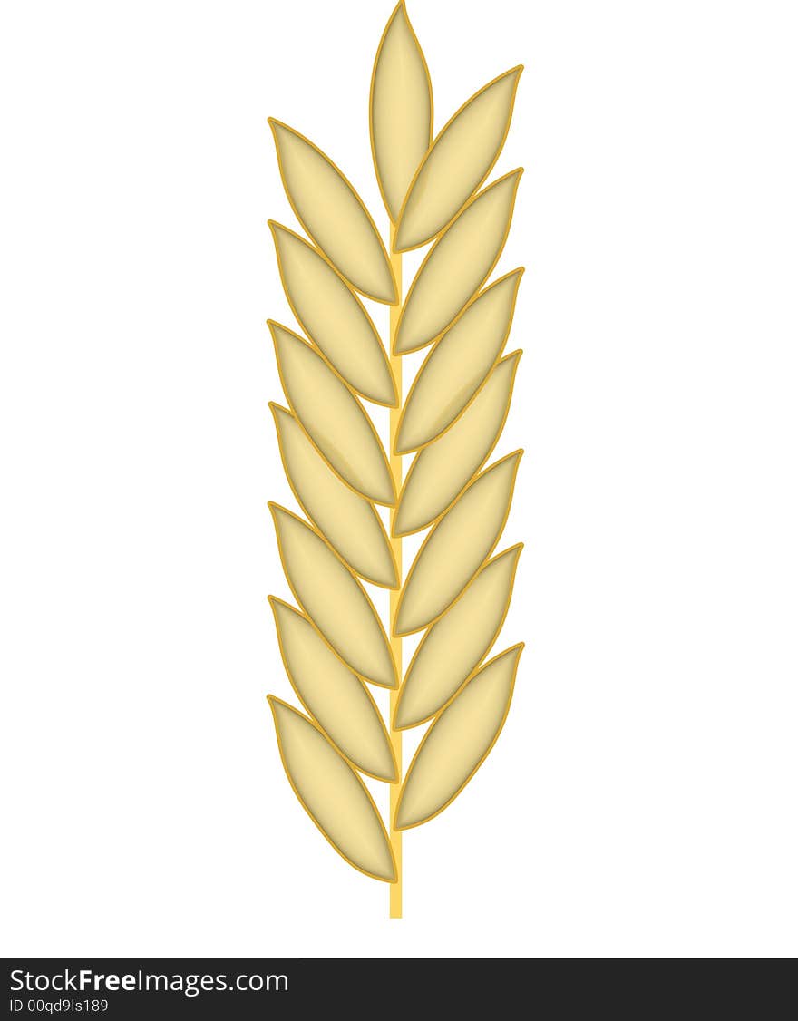 Wheat