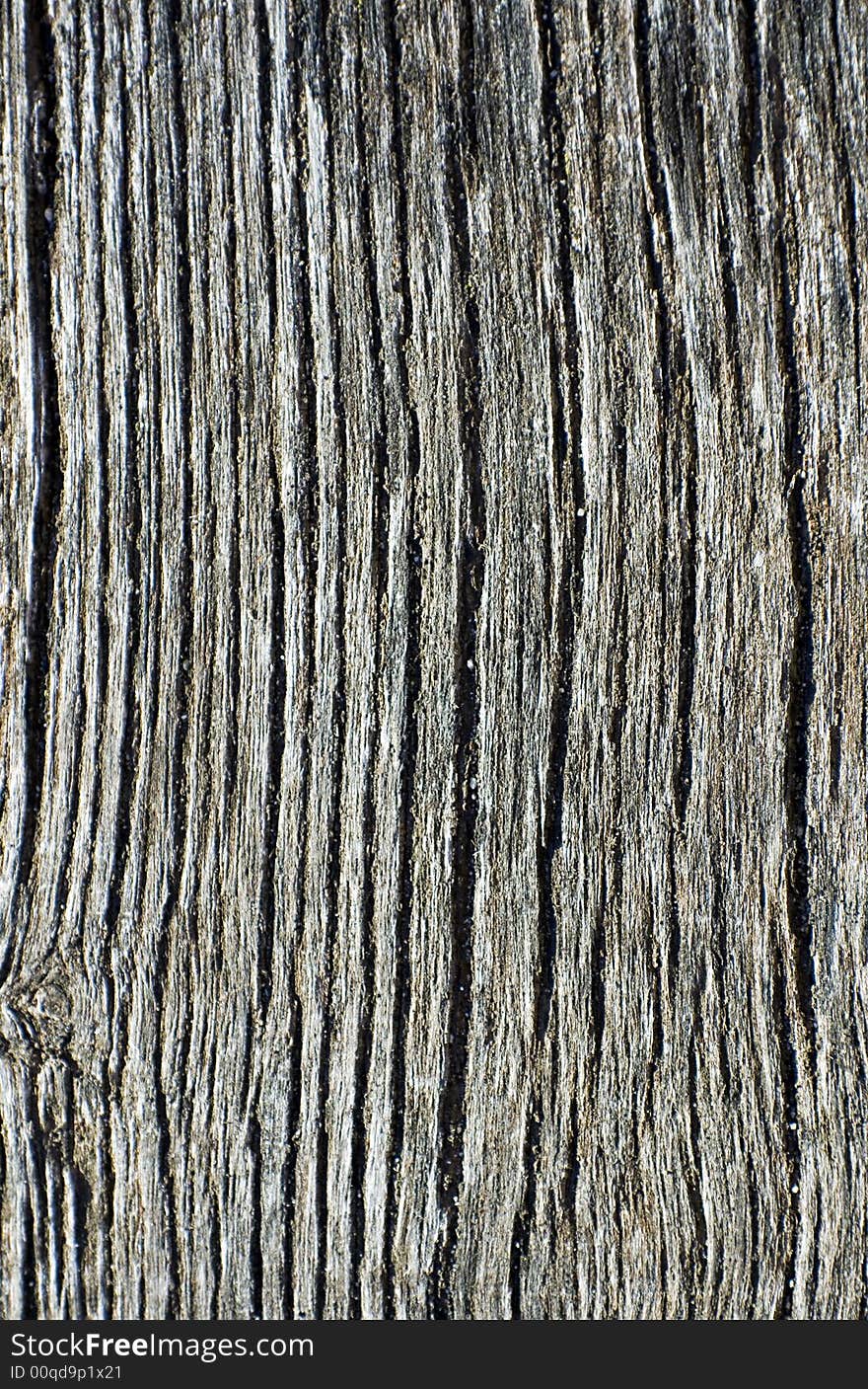 Close-up shot of an aged beam showing the fine structure of deteriorated timber. Close-up shot of an aged beam showing the fine structure of deteriorated timber