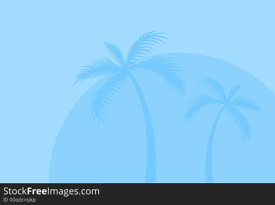 Vector illustration of palm trees. Vector illustration of palm trees