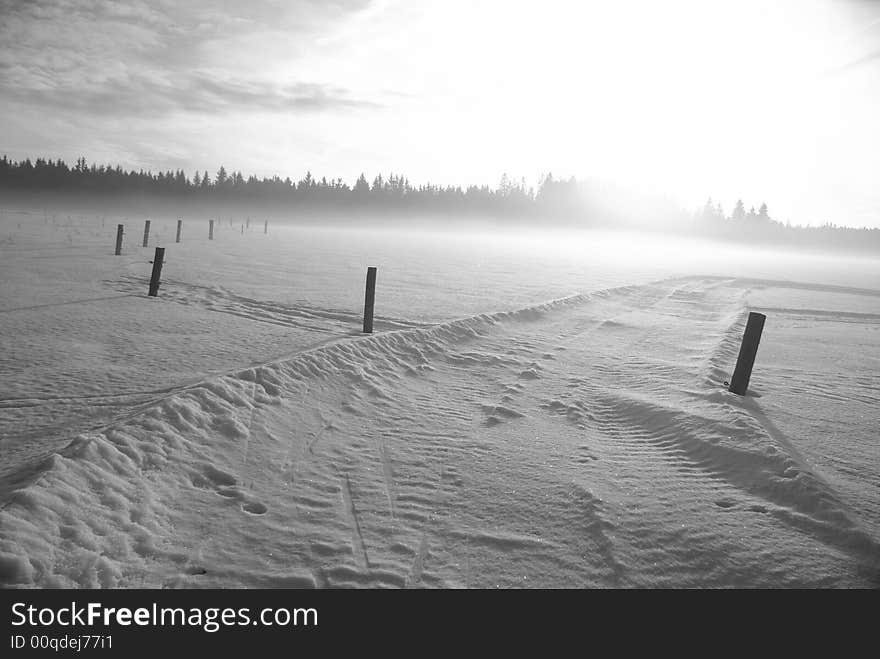 Field in winter